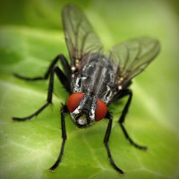 /album/el-blog-de-tobi/photolia-a01-jpg/