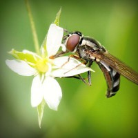 /album/el-blog-de-tobi/photolia-a02-jpg/