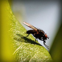 /album/el-blog-de-tobi/photolia-a04-jpg/