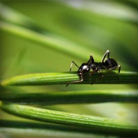 /album/el-blog-de-tobi/photolia-a05-jpg/