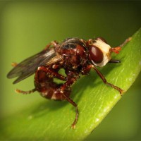 /album/el-blog-de-tobi/photolia-a06-jpg/