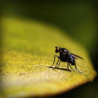 /album/el-blog-de-tobi/photolia-a07-jpg/